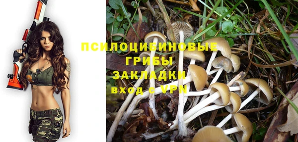 таблы Инсар