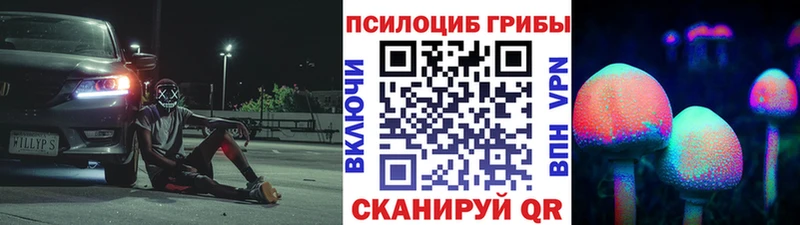 Купить где  Володарск  Галлюциногенные грибы мицелий 